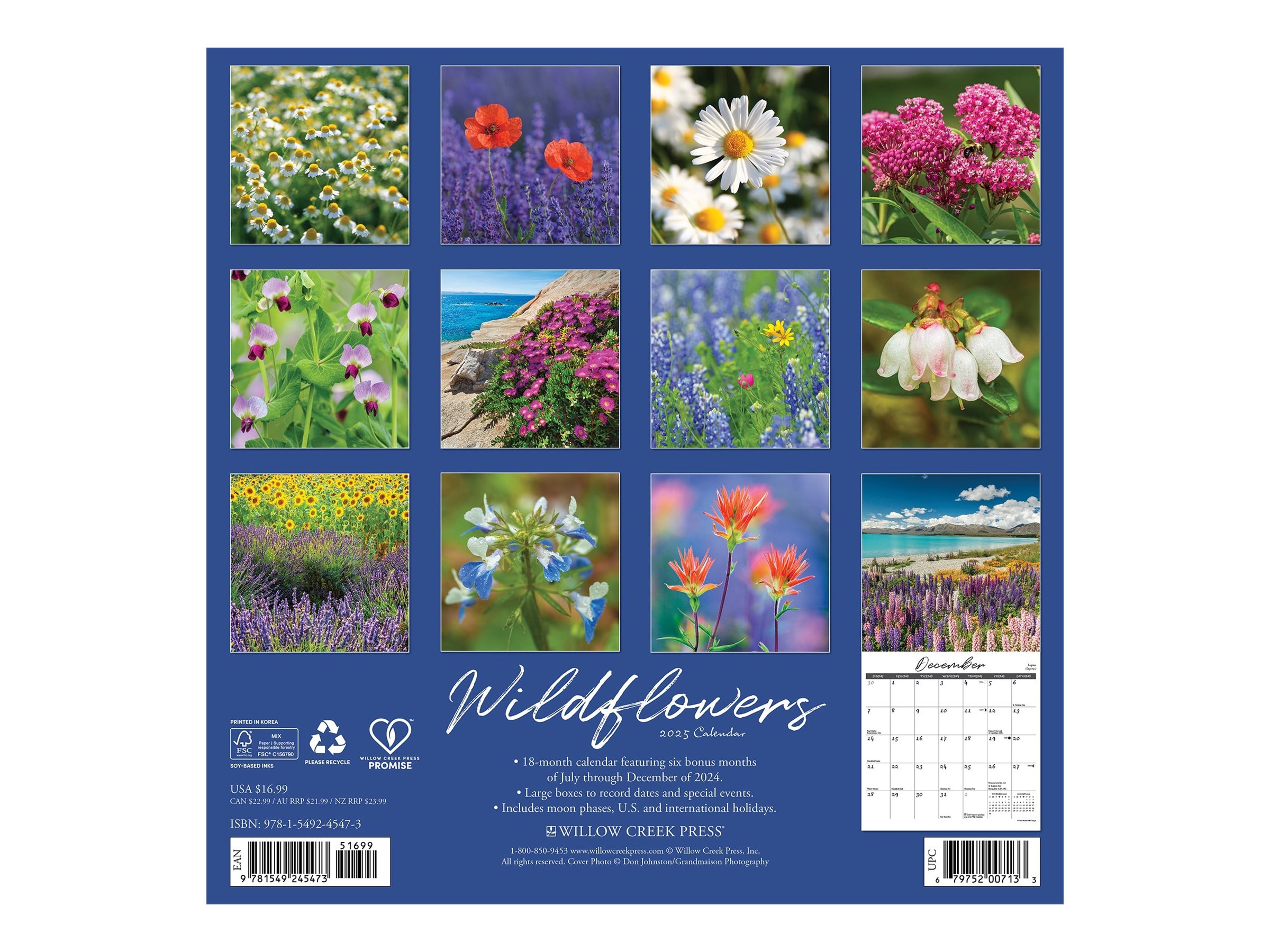 Willow Creek Press, Why Cats Do That 2025 Wall Calendar