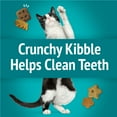 thumbnail image 5 of Purina Friskies Party Mix Meow Luau, Cat Treats, Ocean Whitefish, Pork, & Crab, 2.1 oz Bag, 5 of 12