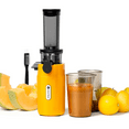 thumbnail image 1 of Ventray Essential Extracteur de Jus Ginnie, Compact et Lent, Riche en Nutriments, 1 of 12