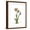 Brown Frame, variant on Art.com Gentian Twins Art Print by Albert Koetsier, Black Frame Wall Art, 17" x 21"