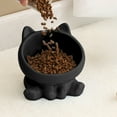 thumbnail image 5 of DefiDgd Ceramics Cat Bowl,No Spill Tilted Cat Water Bowl,Cat Design Round Food Bowl for Elder Big Cats and Small Dogs(A), 5 of 6