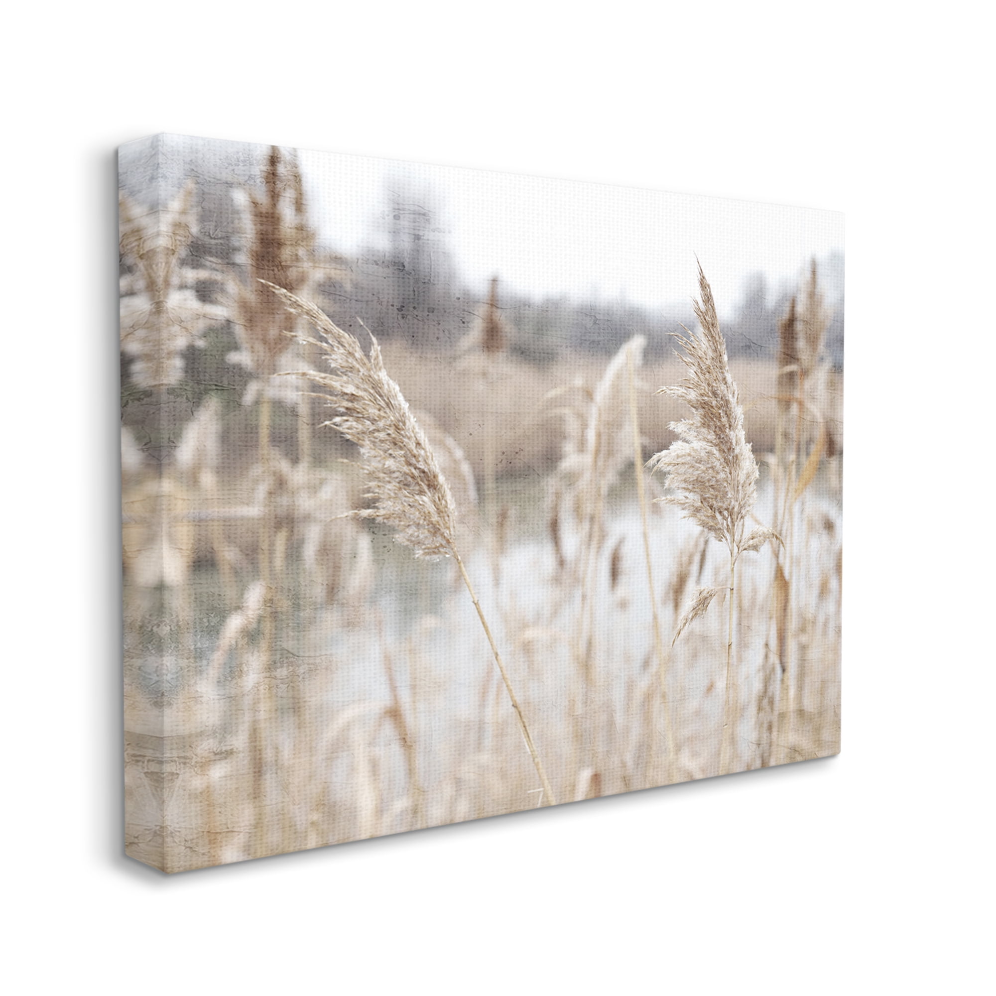 Rural Pampas Grass Reeds Lakeside Pond Marsh Canvas Art, 48 x 36, Design By Artist Kim Allen