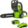 Greenworks 12" 40 V Battery Powered Chainsaw