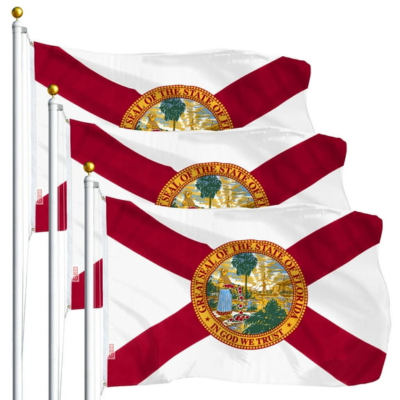 Florida FL State Flag 3x5FT 3-Pack Printed Polyester By G128