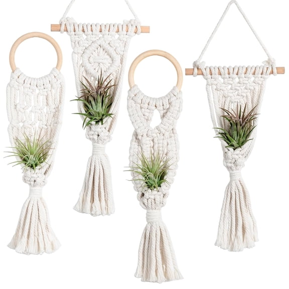 4 Pack Macrame Air Plant Holders, Boho Hanging Planter Basket for Indoor Tillandsia Display, Handwoven Cotton Cord Airplant Hanger Home Decor