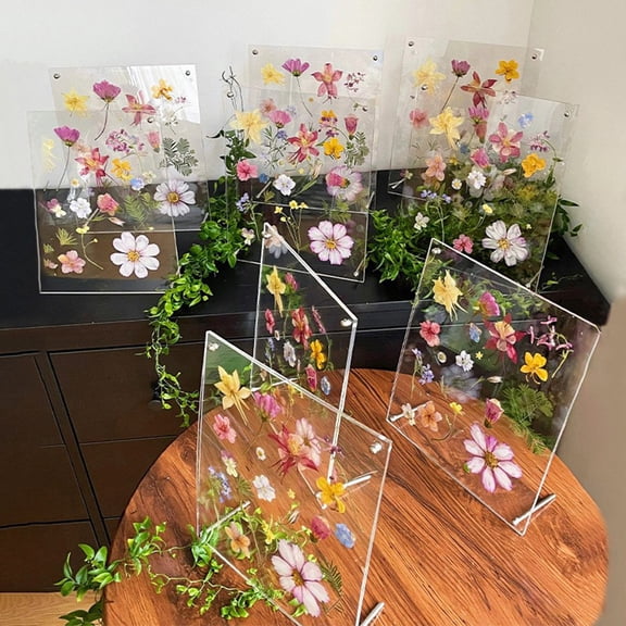 2pcs Creative DIY Pressed Flower Specimen in Nordic Minimalist Style – Acrylic 6"/7" Photo Frame for Dried Flower Art