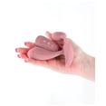 thumbnail image 4 of Secrets Echo Rechargeable G-Spot Vibrator with Remote Control, Dusty Rose, 4 of 4