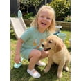 thumbnail image 6 of BemeyourBBs Toddler Baby Girl Boy Summer Clothes 2 Pieces Outfits Short Sleeve In My Toddler Era Letter Print T Shirt Tops Pockets Shorts Sets, 6 of 9