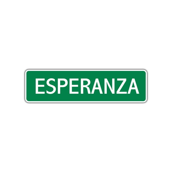 Esperanza Girls Children Name Letter Printed Label Indoor Outdoor Wall Plaque Decoration Aluminum Metal Sign 4"x13.5"