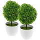 thumbnail image 2 of Bolas de plantas artificiales, bonsái decorativo de plantas simuladas, bola de flores de plástico para decoración (verde), 2 uds., 2 of 7
