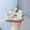 Beige, variant on Zecgelong Girls Sandals For Toddlers And Kids Lightweight Breathable Outdoor Summer Sandals With Sole For Ages 12 Months To 7 Years Girls Princess Sandals Size 6 Beige