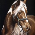 thumbnail image 1 of Juego de pintura de diamante 5D para niños adultos de 30 x 40 cm, caballo marrón, bordado completo de diamantes, juego de pintura de diamantes de imitación de cristal en lienzo, adecuado para decoraci, 1 of 5