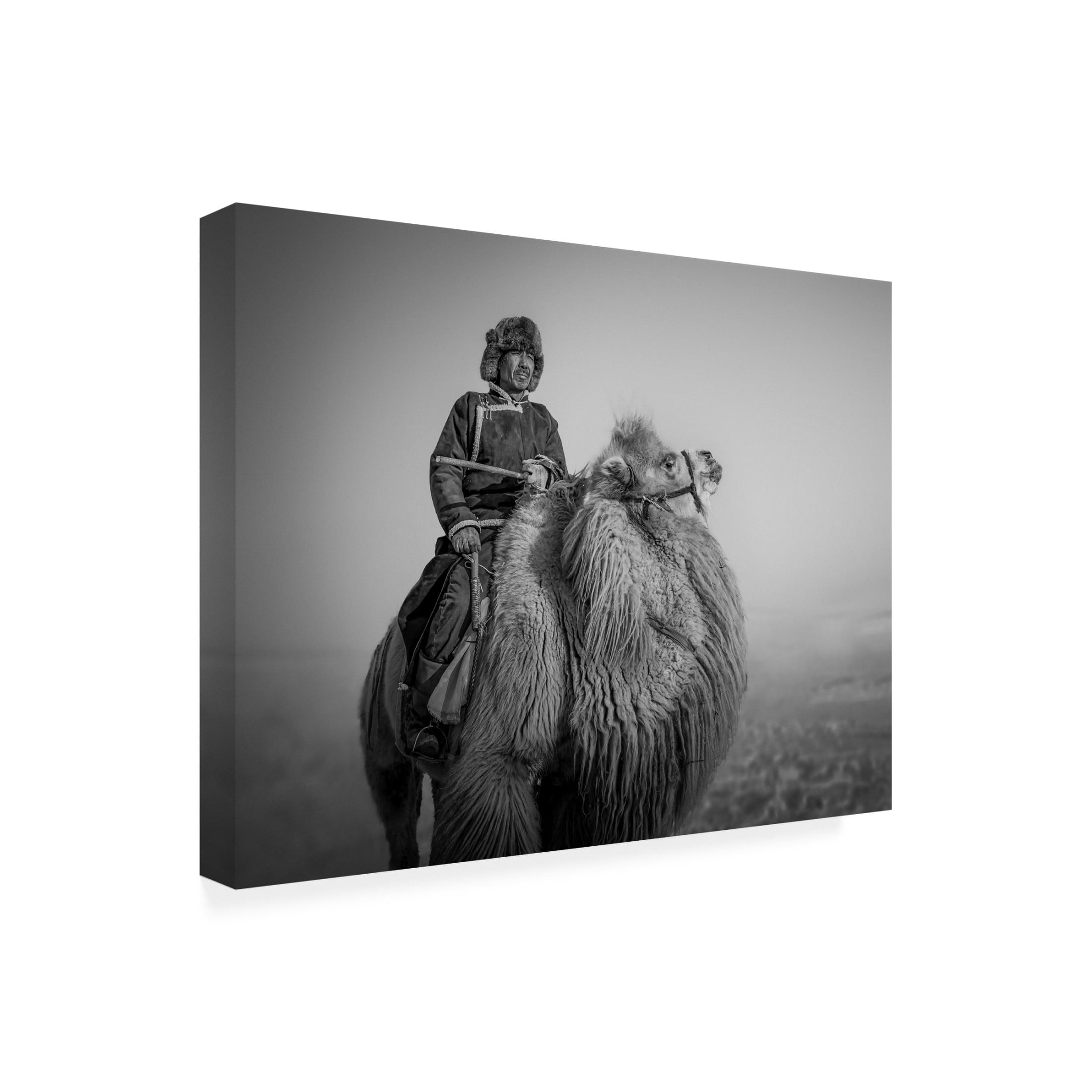 Trademark Fine Art Irene Wu Farmer And His Camel Canvas Wall Art