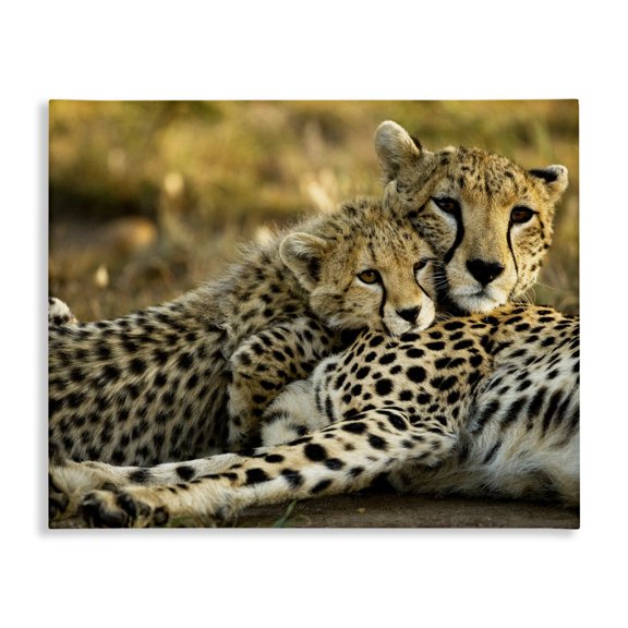 Stupell Industries Rustic Lodge Cheetah Family Mother with Cub Canvas Art, 20 x 16, by Joe McDonald / DanitaDelimont.com