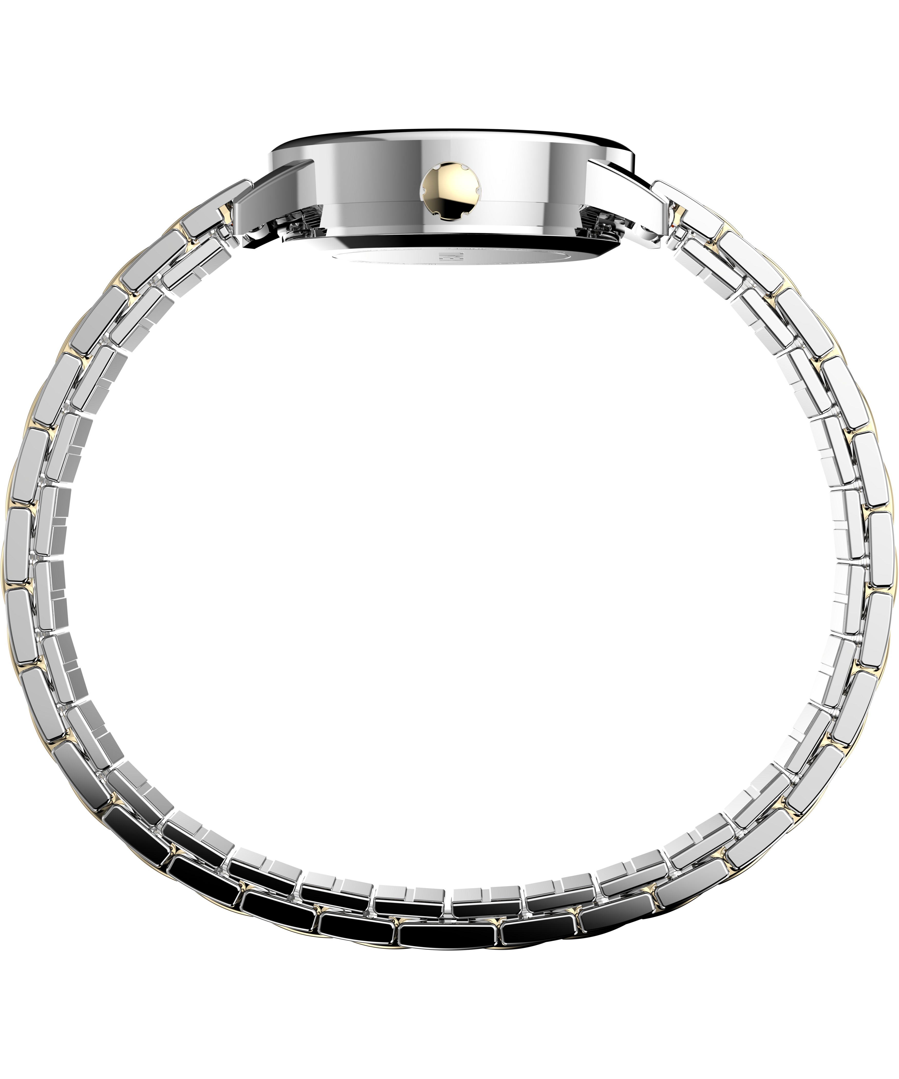 Women's Easy Reader Two Tone Expansion Band