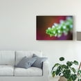 thumbnail image 3 of Trademark Fine Art 'Macro Plant Bud' Canvas Art by Pixie Pics, 3 of 4