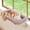 Natural Color Wood w/ Brown Bed, variant on SnugCloud Cat Window Perch with 4-Sided Bolster - Large Cat Hammock for Window Sill - Solid Hardwood & Metal Frame - Window Seat for Pets (Natural Color Wood w/Gray Bed, Large)