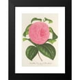 thumbnail image 2 of Charles Antoine Lemaire 14x18 Black Modern Framed Museum Art Print Titled - Camellia Viscount De Nieuland (1854-1896), 2 of 5