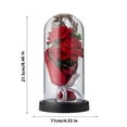 thumbnail image 4 of Cheapark Preserved Forever Rose Bouquet in Clear Plastic Dome - Long-Lasting Romantic Flowers Presents for Women Wives Girlfriend Brides Valentine's Day Anniversary Gifts, 4 of 8
