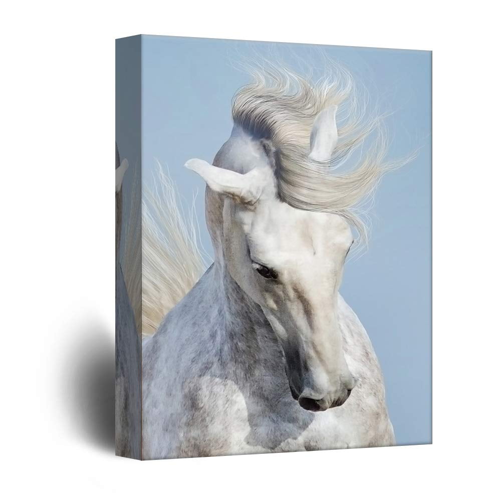 wall26 Canvas Wall Art White Horse Portrait Giclee Print Gallery