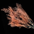 thumbnail image 4 of Planta artificial Monstrate de 5 ramas para decoración navideña y fiestas de bodas color naranja, 4 of 6