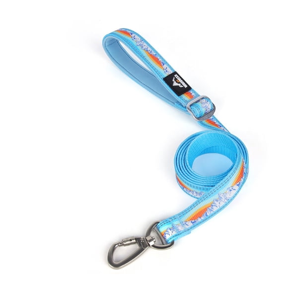 Dog Collar for Dogs, Ruffwear Crag Reflective Quick-Release Collar, Lightweight Durable Nylon Pet Collar for Outdoor Hiking Walking Running, Blue