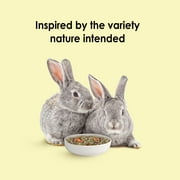 Kaytee Food from The Wild Rabbit Food, 4 Pounds