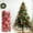 Red, variant on Christmas Tree Ornaments Set of 24 Pieces, Shatterproof Plastic Christmas Ball Decorations with Assorted Designs, Perfect for Holiday Tree Decorating Home Party Festivities