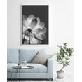 thumbnail image 1 of PixonSign Framed Wall Art Print Set Lily Pad Succulent Floral Cactus Photography Modern Art Chic Relax/Calm Grey Dark Black and White for Living Room, Bedroom, Office - 24"x36" White, 1 of 5