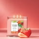 thumbnail image 4 of Candle Yankee Candle, tarro de 3 mecha, 40 horas de duración, color blanco, fresa, 4 of 7