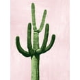 thumbnail image 2 of Jensen, Mia 15x18 Black Ornate Wood Framed with Double Matting Museum Art Print Titled - Cactus on Pink IV, 2 of 4