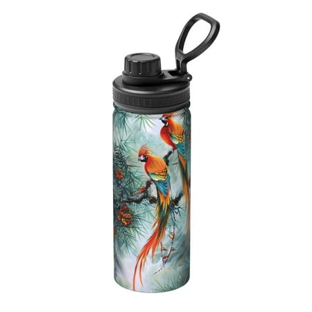 

Ocsxa Colorful Birds Pine Branch Print 18oz Stainless Steel Water Bottle Unisex Water Bottle Insulated Sports Water Cup Flask for Cold Water Drinks/Sports/Travel/Car/School