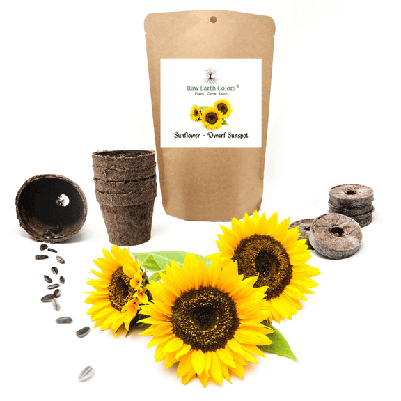 Sunflower grow kit with sunspot dwarf sunflower seeds for planting.