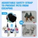 thumbnail image 3 of Arnés para hamaca de peluquería canina PAWCHIE para perros y gatos, color azul XS, 3 of 8