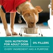 Purina ONE Plus Dry Dog Food Digestive Health, High Protein Natural Chicken & Rice, 16.5 lb Bag
