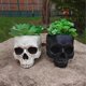 thumbnail image 1 of Outdoor Garden Halloween Skull Decorations: Gothic Style Succulent Flower Pot for Home Decor, 1 of 5