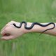 thumbnail image 1 of Juguete de serpiente falsa de goma realista para accesorios de jardín y broma práctica brillar Electrónica, 1 of 5