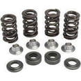 thumbnail image 2 of Valve Spring Kit, 2 of 2
