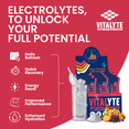 thumbnail image 5 of Vitalyte Fruit Punch Electrolyte Powder Packets Mix, Isotonic Hydration, 25 Single Serving Stick Packet, 5 of 9