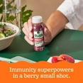 thumbnail image 5 of Suja Organic Immunity Elderberry Apple Shot, 1.7 fl oz Bottle, 5 of 13