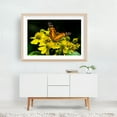 thumbnail image 6 of American Lady Butterfly - Virginia Photography Flowers Nature Floral Botanical Unframed Wall Art Print 24 x 36 inches, 6 of 7