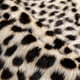 thumbnail image 4 of Area Rug Seek4 Comfortable piel de vacuno sintética con estampado de leopardo de 2 x 1,6 m, 4 of 8