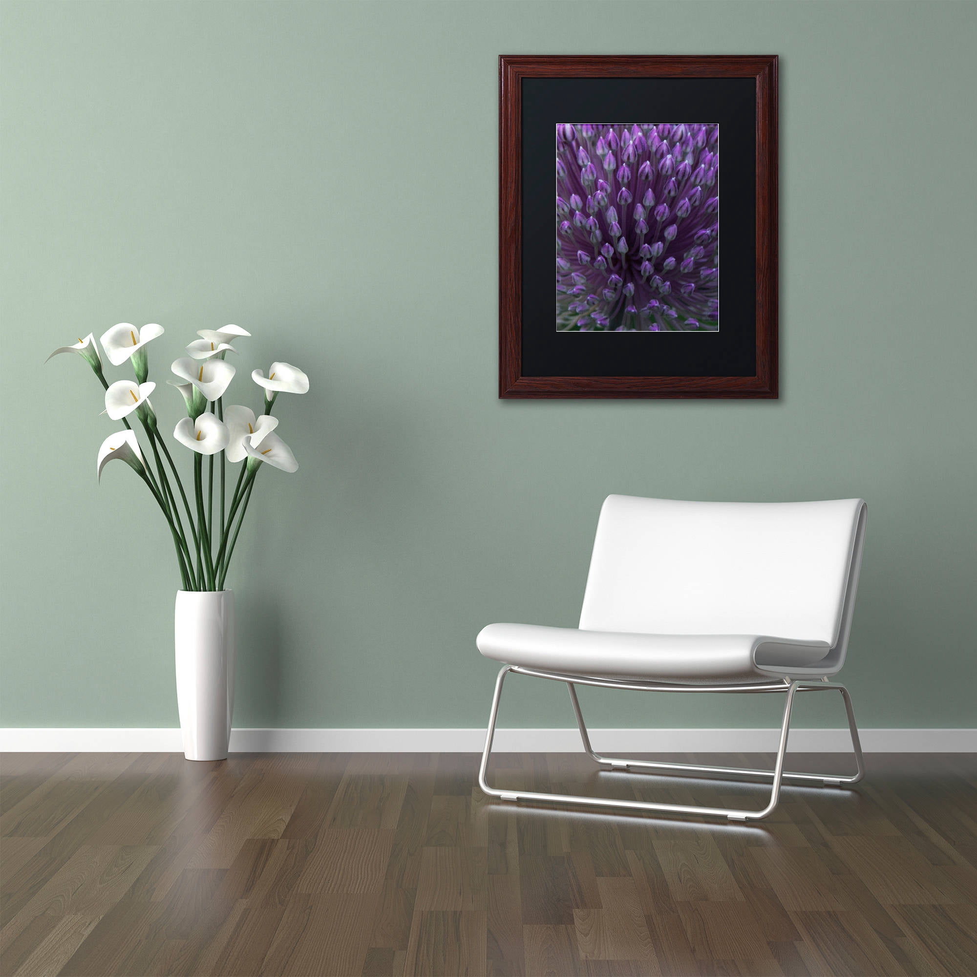 Trademark Fine Art "Alien Flower Pods" Canvas Art by Kurt Shaffer, Black Matte, Wood Frame