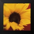 thumbnail image 2 of Butler, Jane-Ann 15x15 Black Modern Framed Museum Art Print Titled - Sunflower on Red, 2 of 5