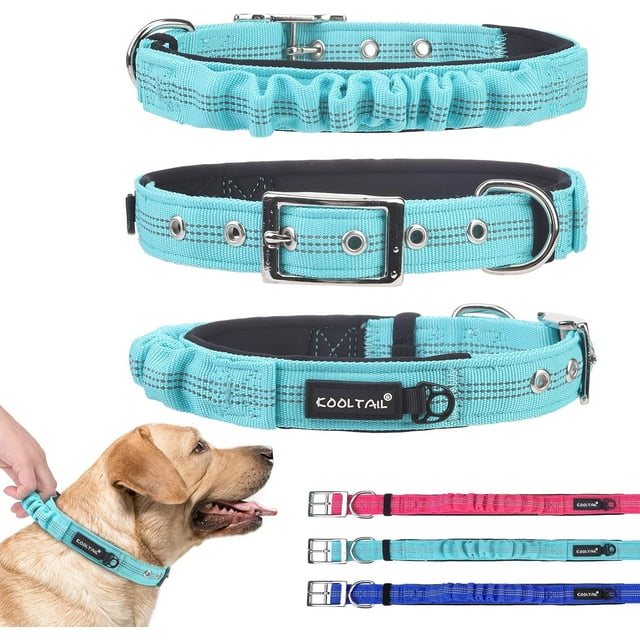 Collier pour Chien Robuste avec Poignée pour Grands Chiens, Collier en Nylon Balistique pour Contrôle de l'Entraînement, Collier Épais Rembourré Réfléchissant avec Boucle en Métal Réglable pour la Marche, Vert m
