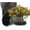Gold, variant on 6 Pack 8 inch Plant Pots, Retro Pattern Planters with Drainage Holes and Saucer, Sturdy Plastic Garden Flower Pots for Indoor & Outdoor Plants