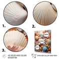 thumbnail image 3 of Designart "Beach Photo Seashell composition I" Animals Floater Framed Canvas Print, 3 of 7