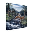 thumbnail image 3 of Trademark Fine Art Jeff Tift Peaceful Morning Canvas Wall Art - 24x24, 3 of 5