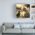 thumbnail image 2 of Canvas Wall Art - Ray Heere 'Cats And Dogs 21' Wall Art for Living Room, Bedroom, or Office Décor by Trademark Fine Art - 18 x 18 Inches, 2 of 4