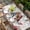 Off-White, variant on Pink Valentine's Day Table Cloths for 5 Foot Rectangle Tables, Spring Floral Gifts Eucalyptus Leaves Patio Waterproof Elastic Fitted Tablecloths, Washable Rectangular Table Cover for Camping